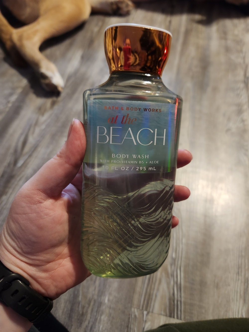 Bath & Body Works At The Beach Body Wash - Green with Gold Cap